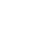 Suporte Técnico Especializado